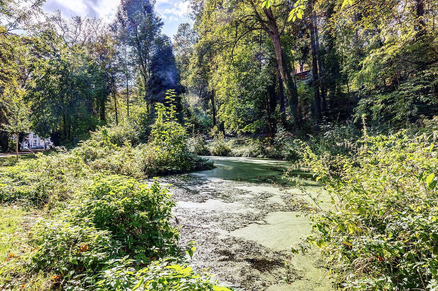 Квартира в многоэтажно доме с 2 комнатами | München-Thalkirchen | 70493 | Viel Natur