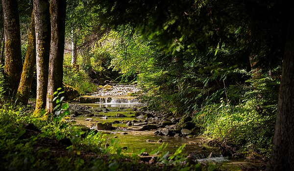 Плоский с 3 комнатами | Bad Wiessee | 70053 | Zeiselbach