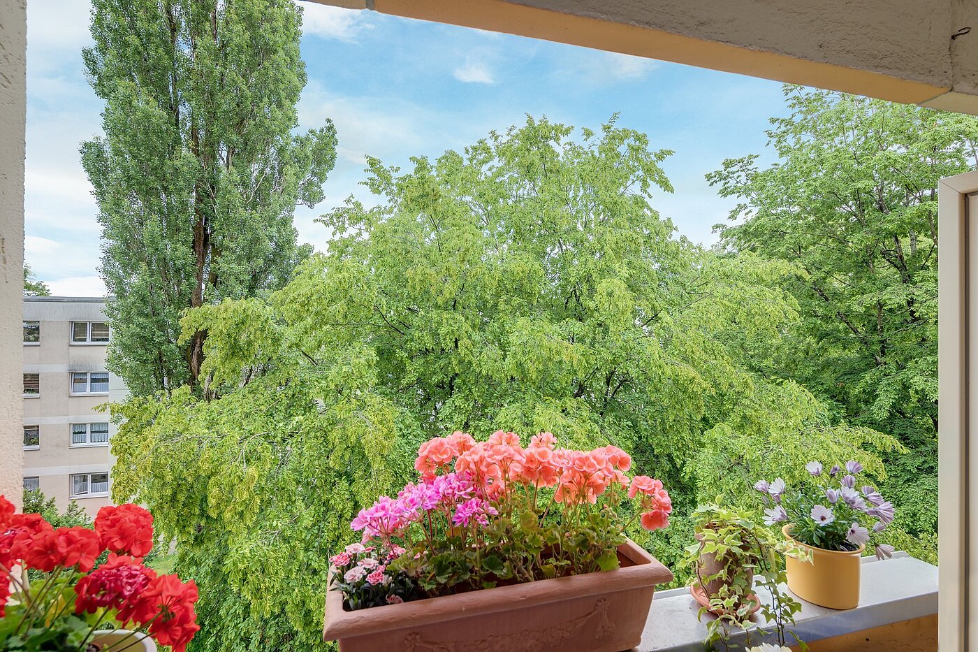 Квартира в многоэтажно доме с 1 комнатная | München-Forstenried | 2106ML6 | ...mit Blick ins Grüne