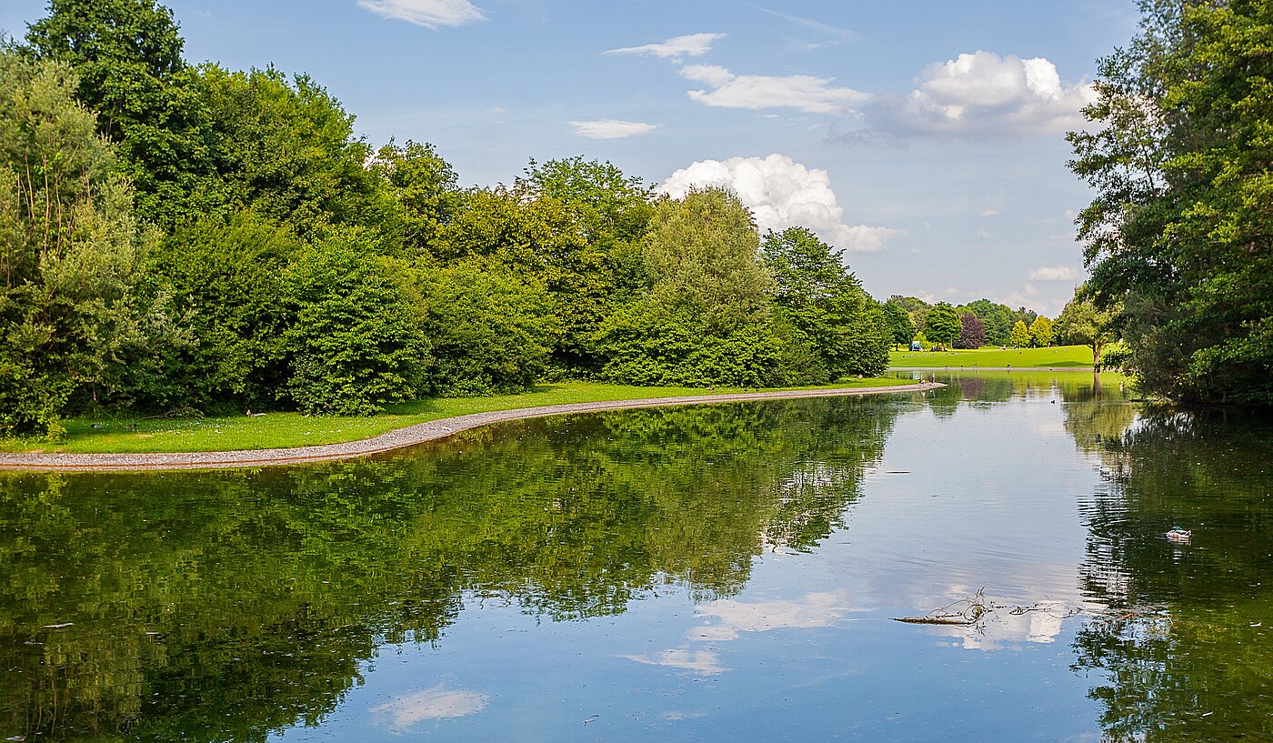 Apartment с 1 комнатная | 70308 | Umgebung