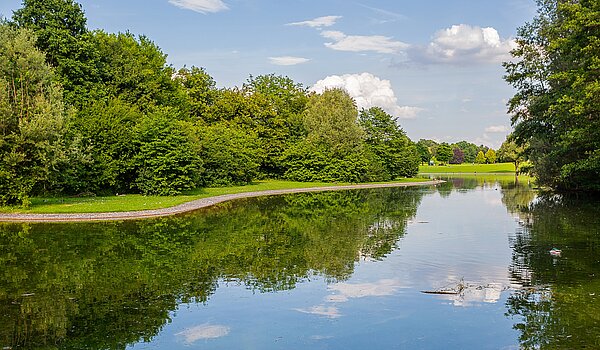 Apartment с 1 комнатная | 70308 | Umgebung