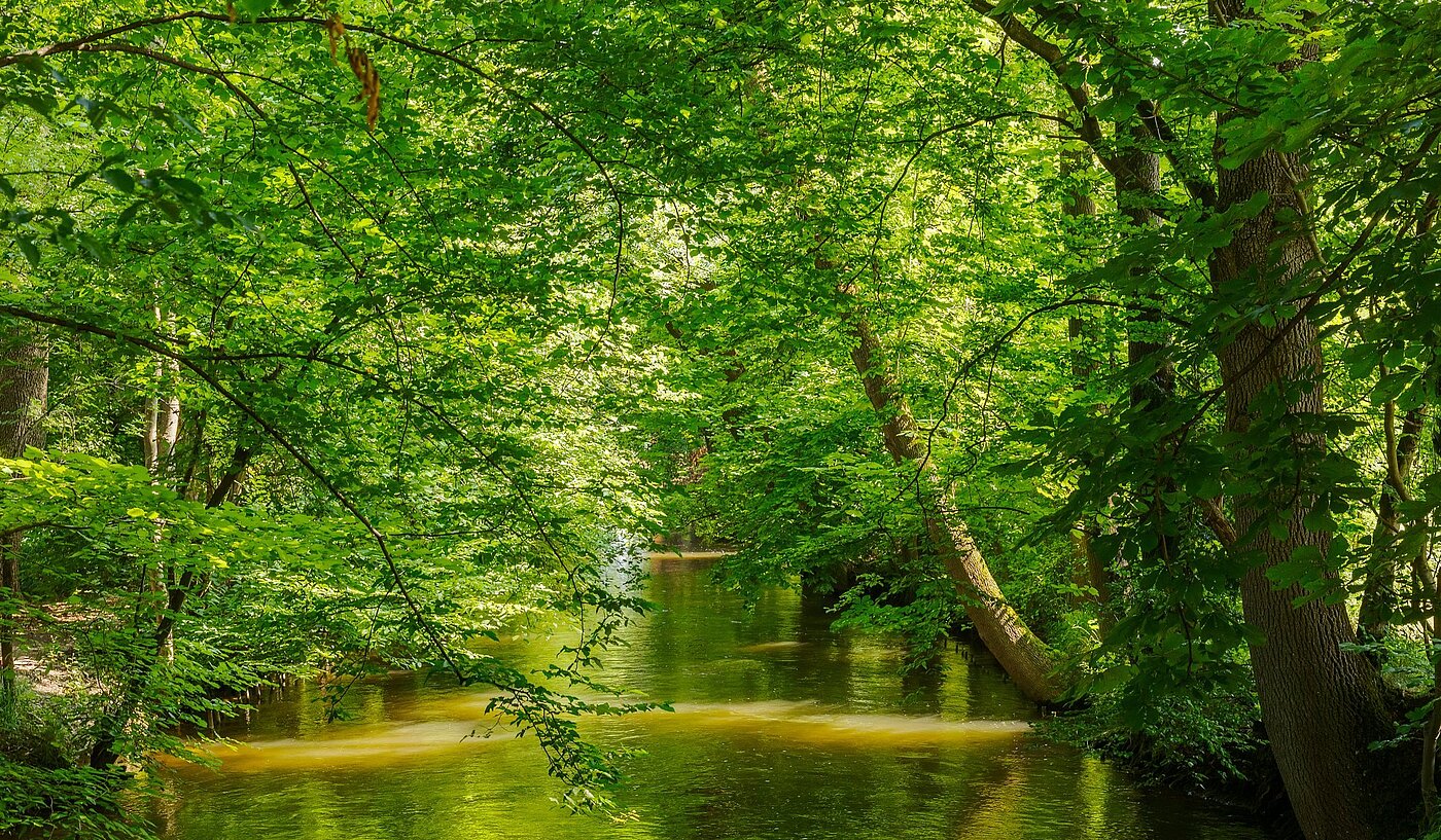 Квартира в многоэтажно доме с 2 комнатами | München-Pasing | 2108ML1 | Naherholung im Stadtpark