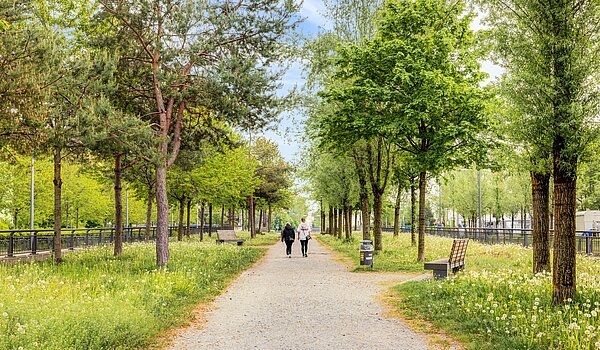 Квартира в многоэтажно доме с 2 комнатами | München-Sendling-Westpark | 704131 | Grüne Umgebung