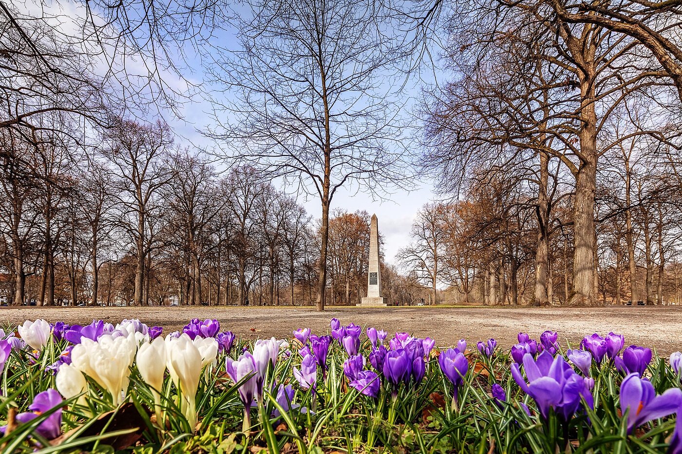 Квартира в многоэтажно доме с 2 комнатами | München-Schwabing | 2102ML3 | Der Luitpoldpark