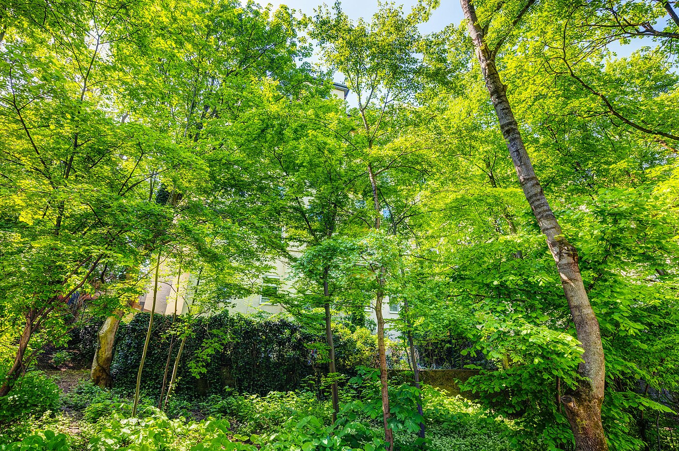 Квартира в многоэтажно доме с 2.5 комнатами | München-Sendling | 70067 | ...versteckt hinter Bäumen