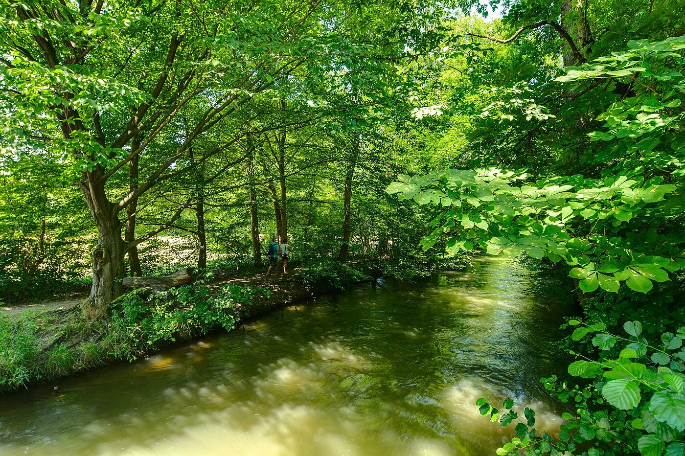Половина двухквартирного жилого дома с 6 комнатами | München-Pasing | 2007ML5 | Die Würm um die Ecke