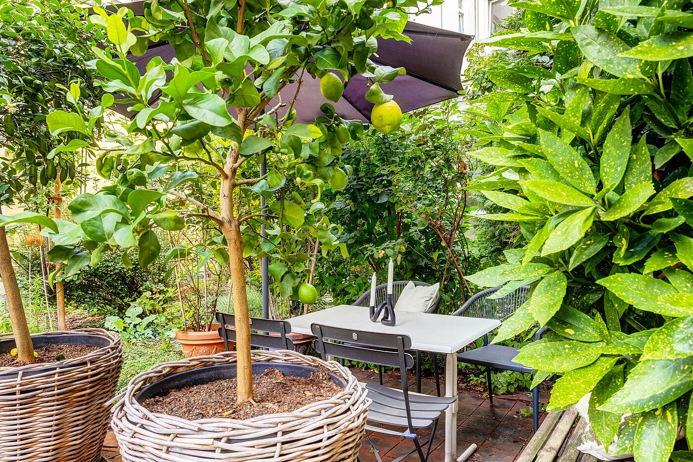 Плоский с 1 комнатная | München-Haidhausen | 70228 | ...Südfrüchten und...