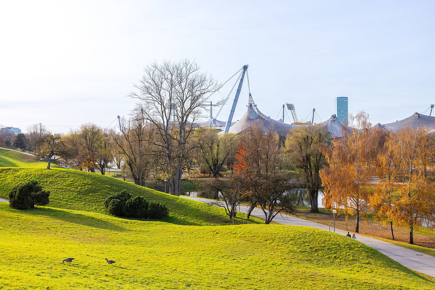 Квартира в многоэтажно доме с 3 комнатами | München-Schwabing | 70318 | Naherholung