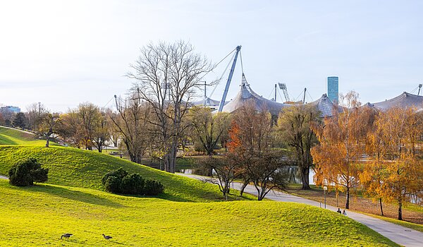 Квартира в многоэтажно доме с 3 комнатами | München-Schwabing | 70318 | Naherholung