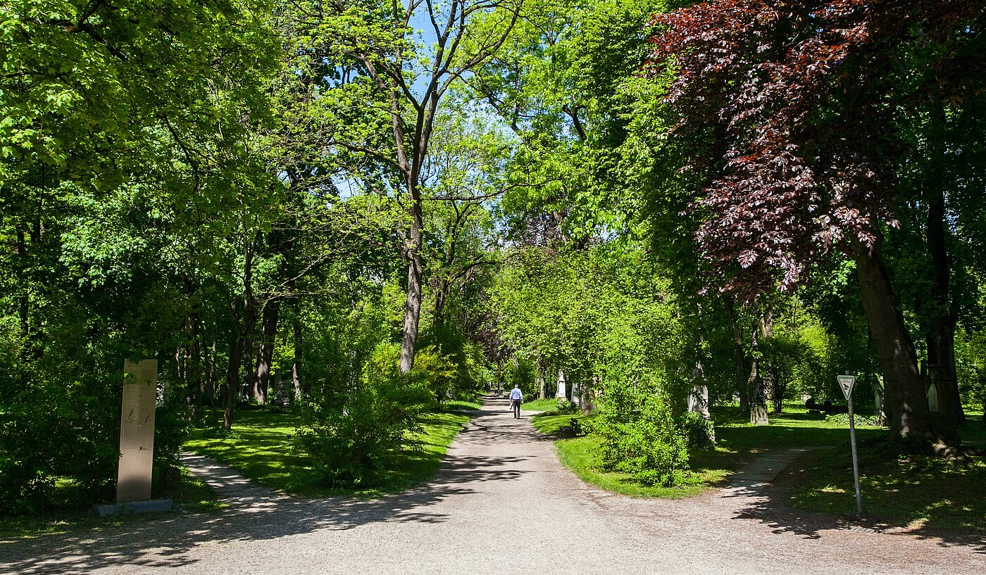 Квартира в многоэтажно доме с 3 комнатами | München-Maxvorstadt | 2203ML31 | ...Sommer