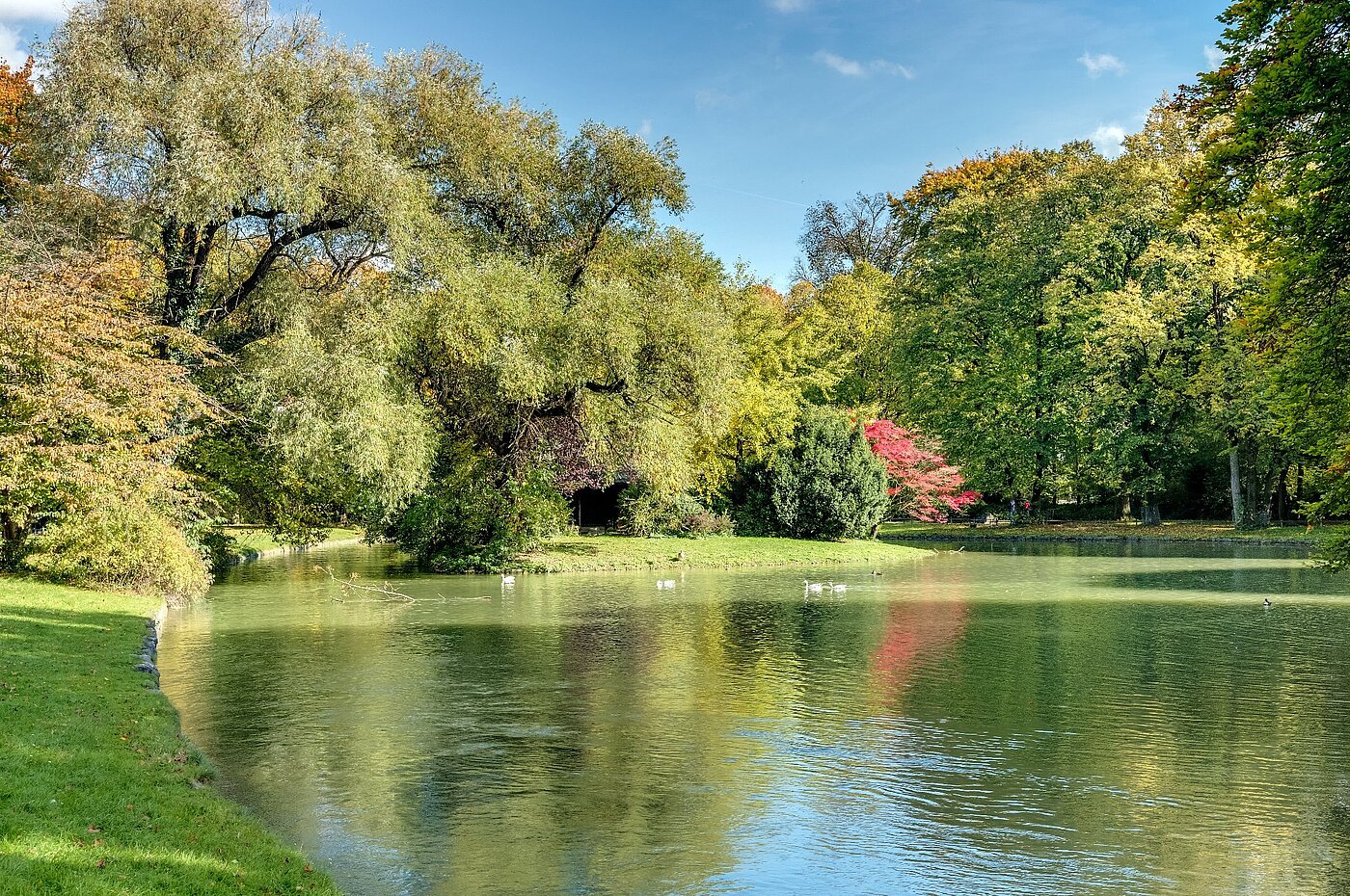Высокий первый этаж с 2 комнатами | München-Lehel | 2012ML1 | Herbst im Englischen Garten