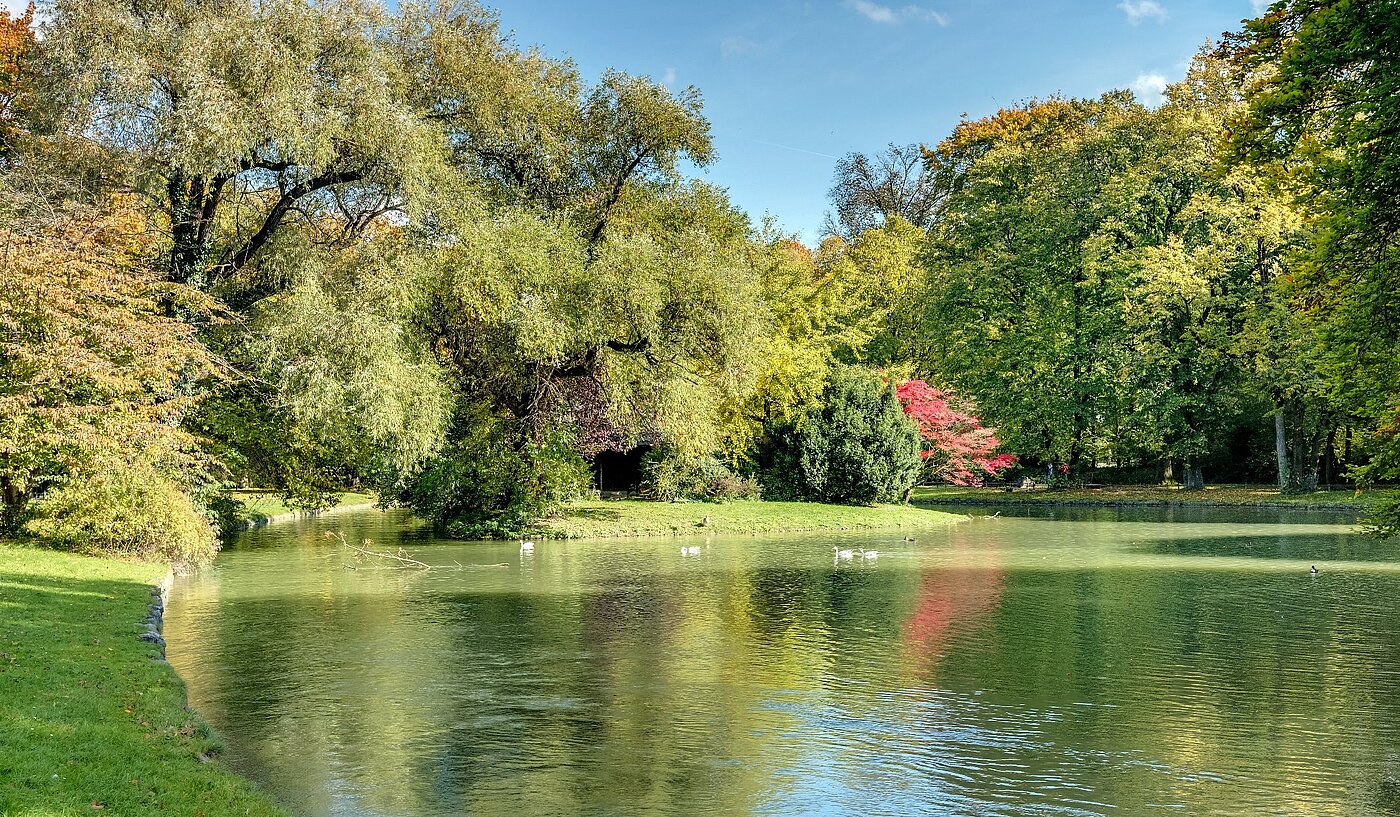 Высокий первый этаж с 2 комнатами | München-Lehel | 2012ML1 | Herbst im Englischen Garten