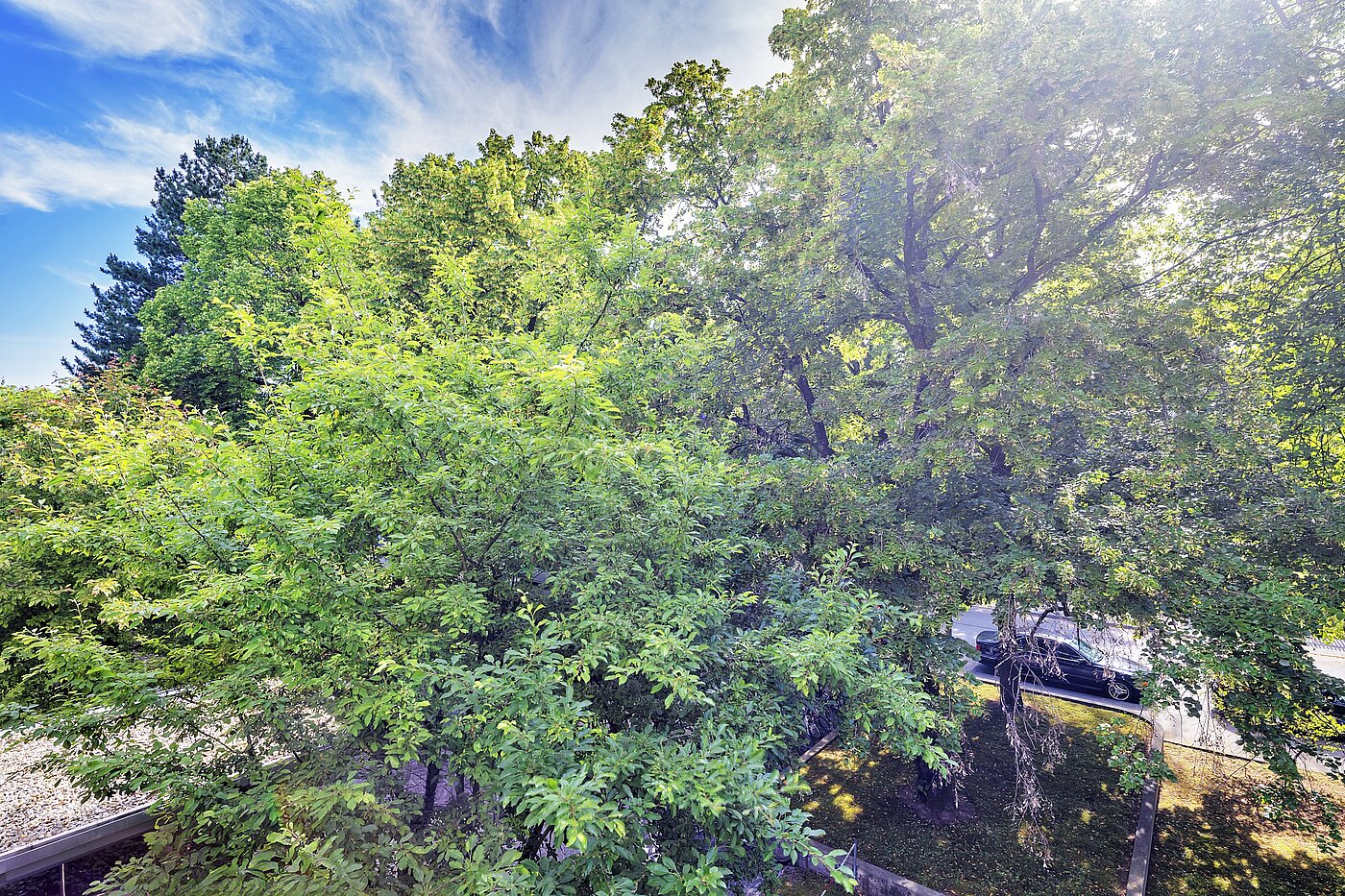 Квартира в многоэтажно доме с 3.5 комнатами | München-Bogenhausen | 70267 | ...Ausblick ins Grüne