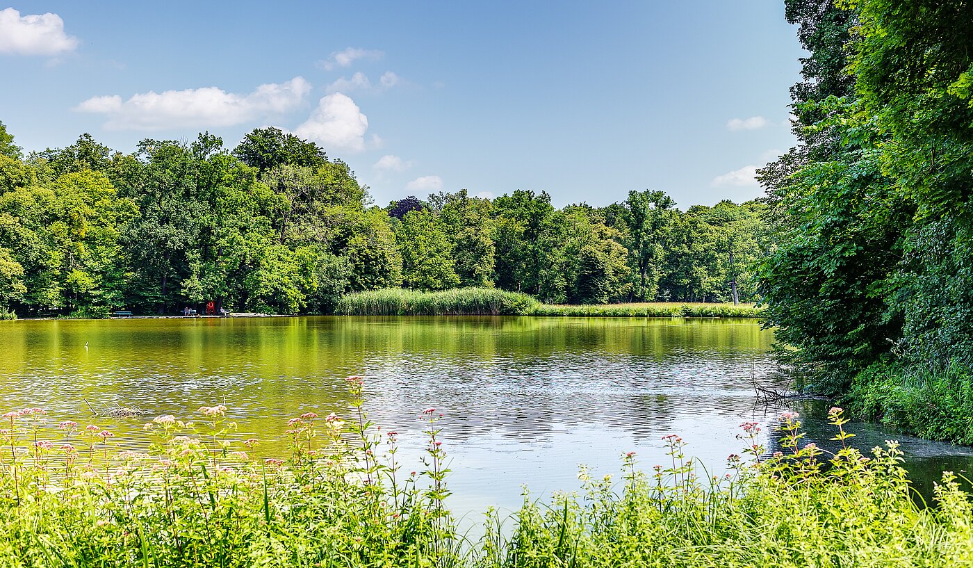 Квартира в многоэтажно доме с 2.5 комнатами | München-Obermenzing | 700191 | Badenburger See