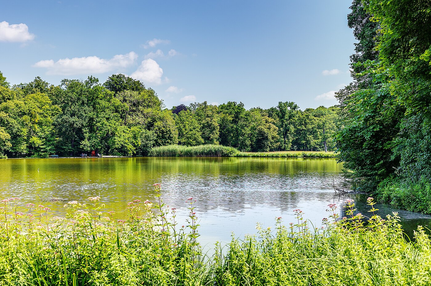 Квартира в многоэтажно доме с 2.5 комнатами | München-Obermenzing | 700191 | Badenburger See