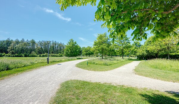 Угловой террасный дом с 6 комнатами | München-Trudering | 70191 | ...Impressionen