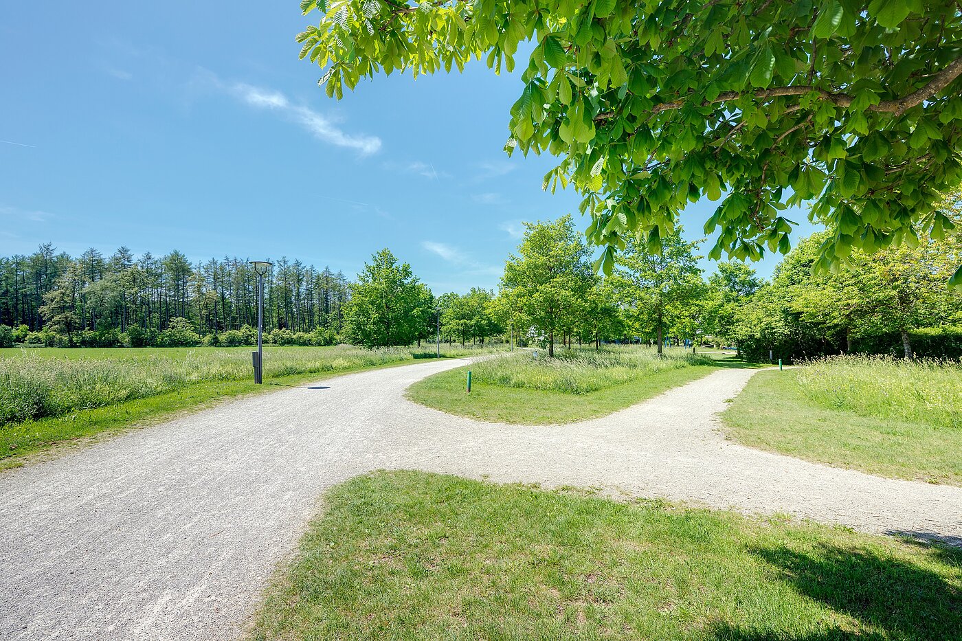 Угловой террасный дом с 6 комнатами | München-Trudering | 70191 | ...Impressionen