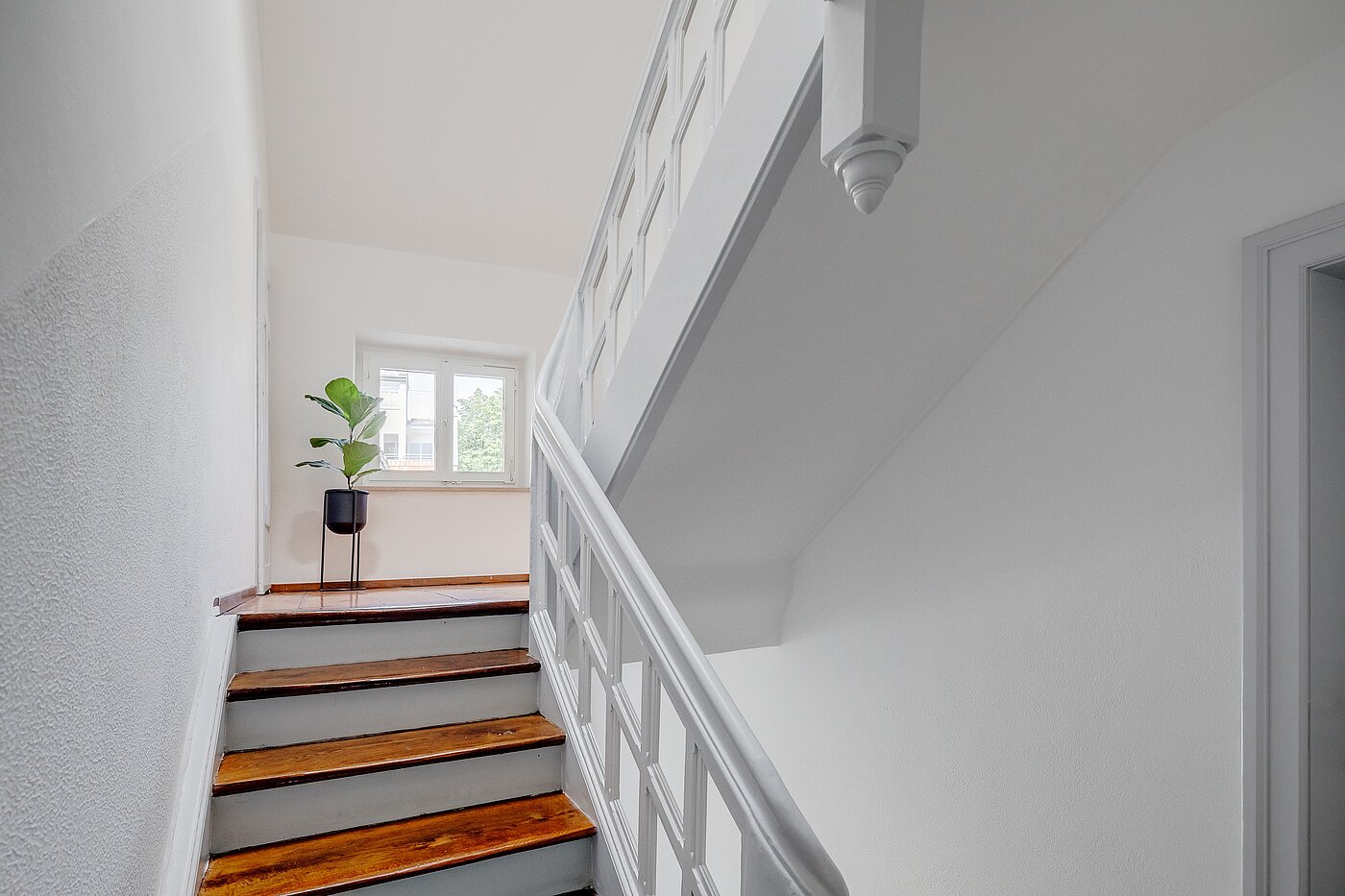 Квартира в многоэтажно доме с 2 комнатами | München-Isarvorstadt | 70089 | Charmantes Treppenhaus