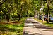 Apartment с 1 комнатная | München-Solln | 70499 | Ruhige Umgebung... | Thumbnail