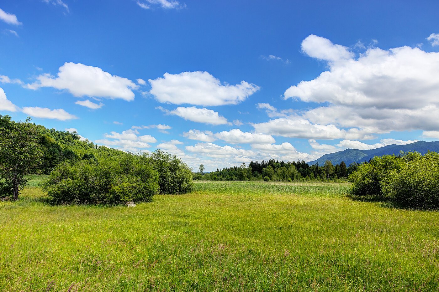 Угловой террасный дом с 5 комнатами | Penzberg | 701121 | ...Naturschutzgebiet