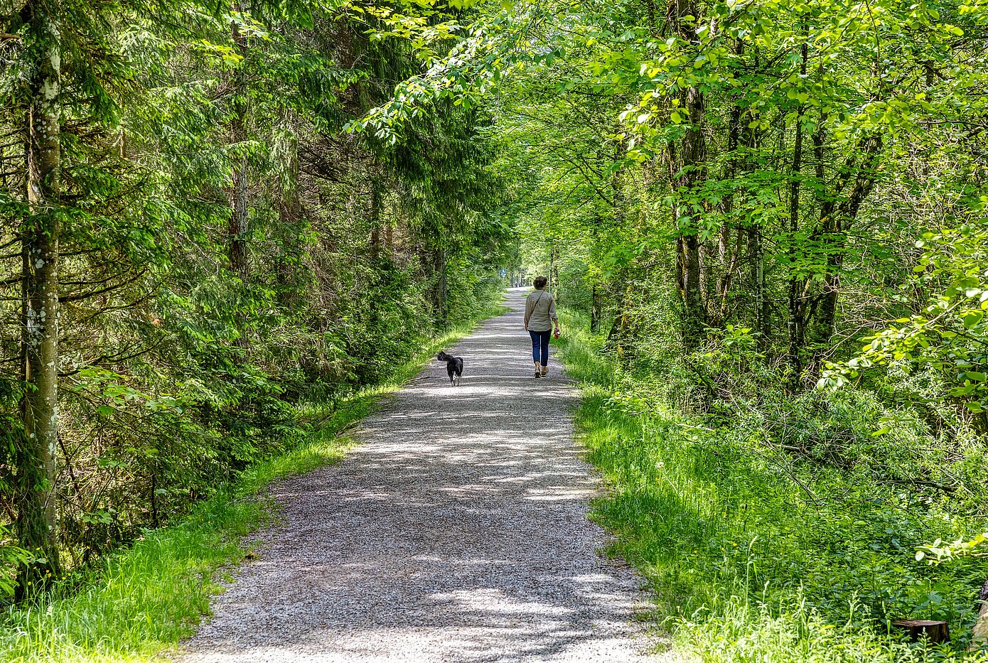 Квартира в многоэтажно доме с 6 комнатами | 70095 | Der Erlebnisweg an der Weissach