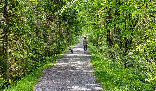 Квартира в многоэтажно доме с 6 комнатами | 70095 | Der Erlebnisweg an der Weissach