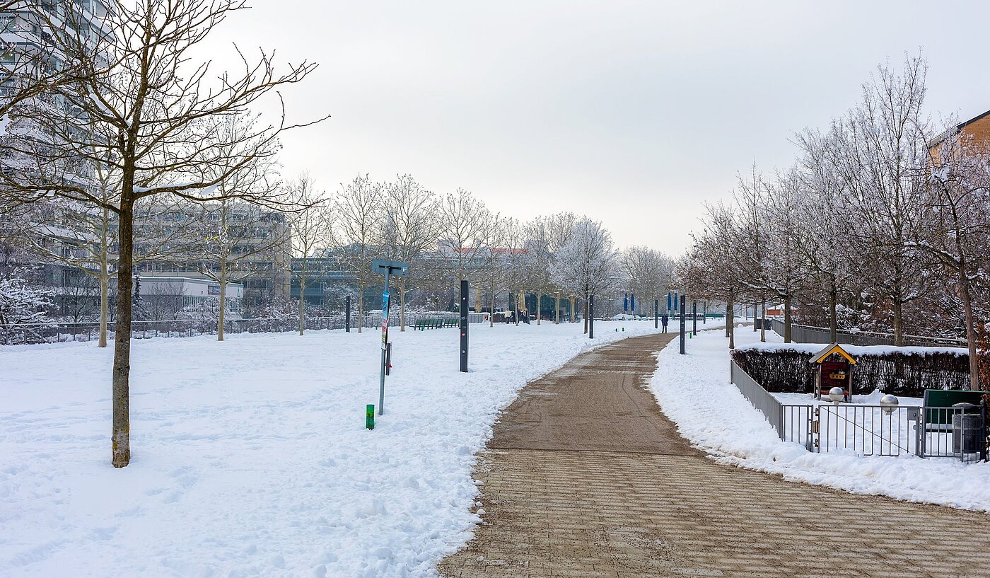 Квартира в многоэтажно доме с 3 комнатами | München-Milbertshofen | 1902ML3