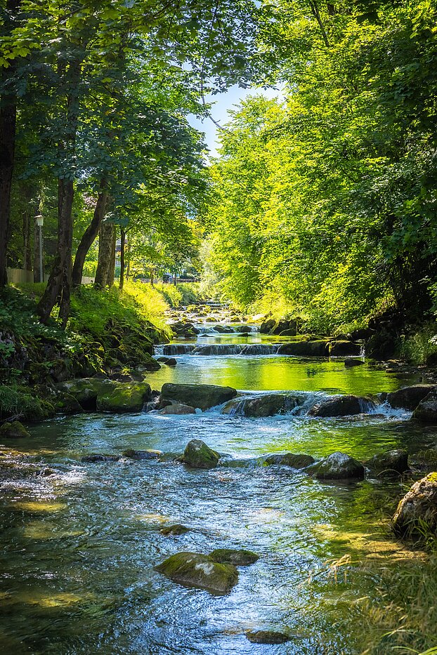 Особое свойство с 15 комнатами | Bad Wiessee | 701591 | Söllbach