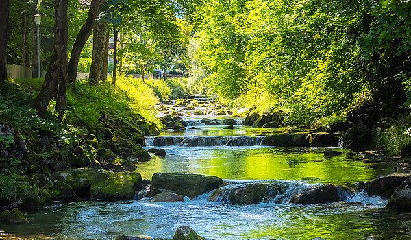 Особое свойство с 15 комнатами | Bad Wiessee | 701591 | Söllbach