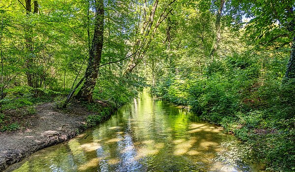 Дуплекс с 3 комнатами | München-Lehel | 2209ML5 | ...Englischen Garten...