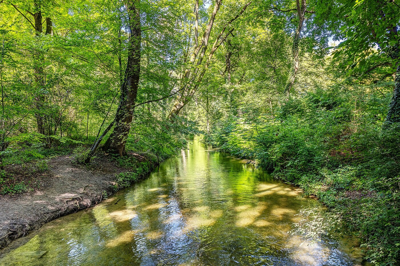 Дуплекс с 3 комнатами | München-Lehel | 2209ML5 | ...Englischen Garten...