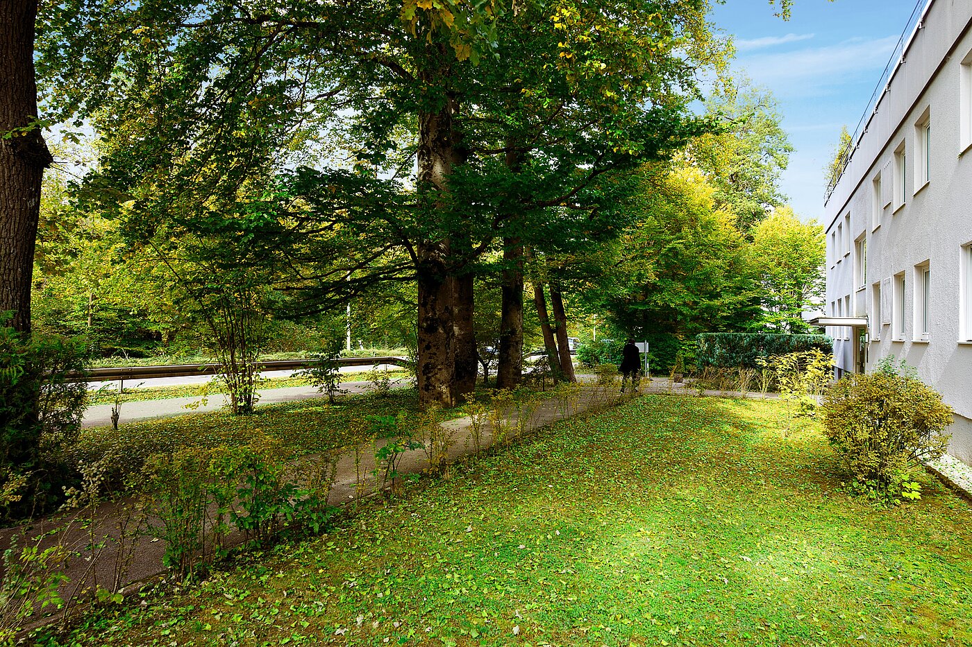 Квартира в многоэтажно доме с 1 комнатная | München-Solln | 70137 | Grüne Aussichten