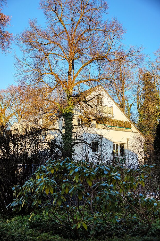 Дуплекс с 2.5 комнатами | München-Solln | 701961 | Eingangsbereich