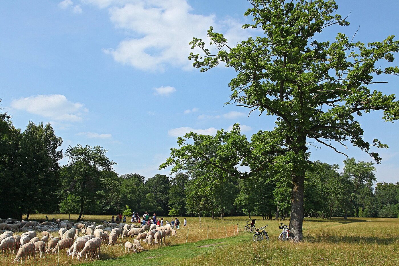 Квартира в многоэтажно доме с 1 комнатная | München-Freimann | 2105ML4 | Englischer Garten