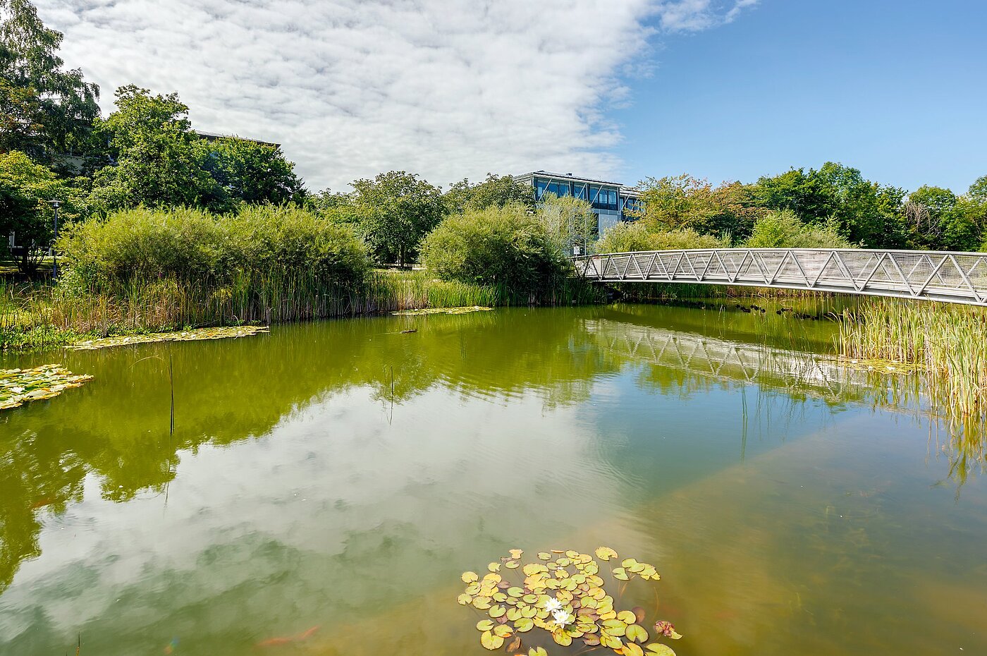 Квартира в многоэтажно доме с 2 комнатами | Haar | 2007ML7 | ...direkt um die Ecke
