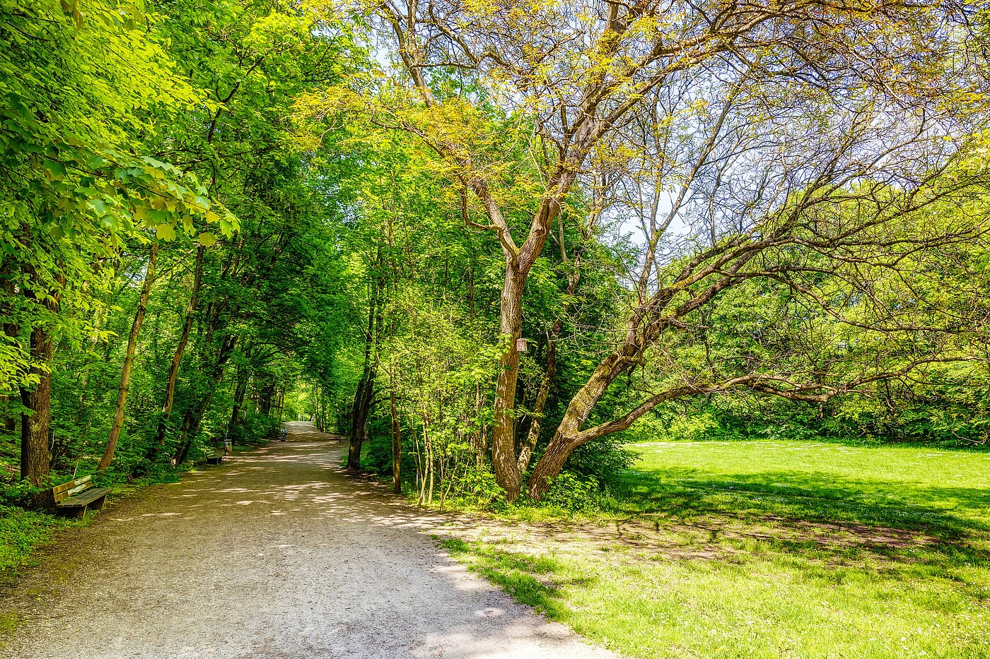 Квартира в многоэтажно доме с 2.5 комнатами | München-Sendling | 70067 | Vom Sendlinger Park aus...