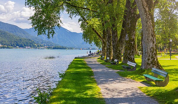 Особое свойство с 15 комнатами | Bad Wiessee | 701591 | Seepromenade Bad Wiessee