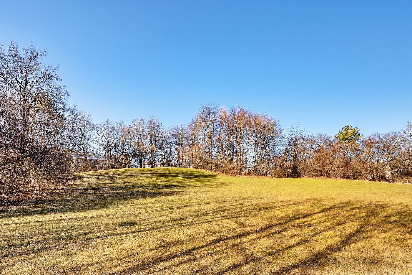 Квартира в многоэтажно доме с 1 комнатная | München-Perlach | 2102ML1 | Perlach Park ganz nah