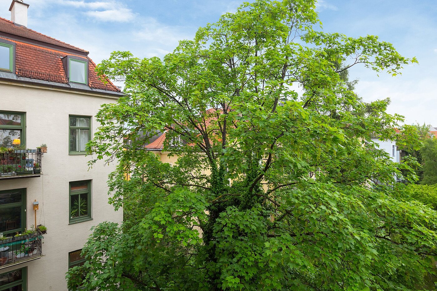 Квартира в многоэтажно доме с 1 комнатная | München-Nymphenburg | 2102ML7 | Sommerliche Aussichten...