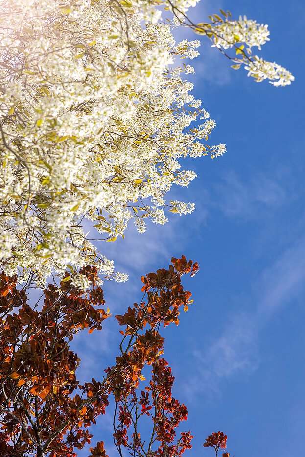 Половина двухквартирного жилого дома с 4 комнатами | München-Solln | 70120 | Wohlfühlen und Genießen