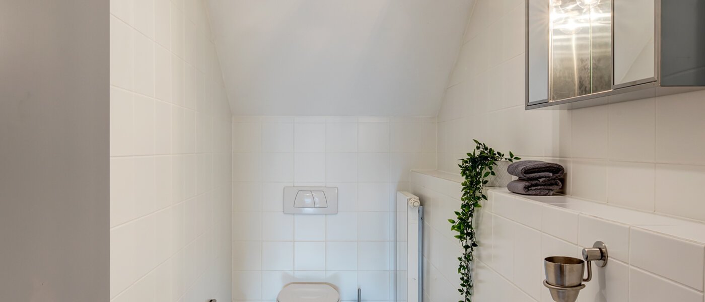 мансардная квартира München Maxvorstadt - Museumsviertel 01 гостевой туалет 1