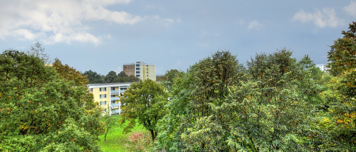 квартира München Englschalking 01 вид из окна 10225