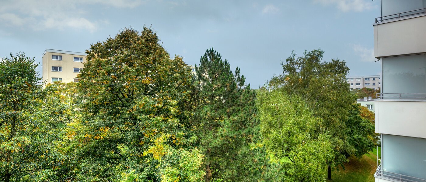 квартира München Englschalking 02 вид из окна 10225