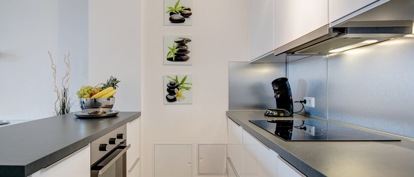 квартира München Ludwigsvorstadt 01 кухня 10286