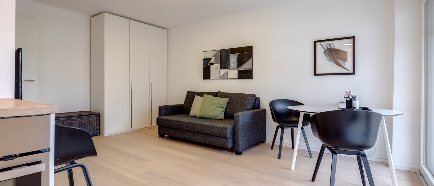 квартира München Nymphenburg 04 гостиная 10315