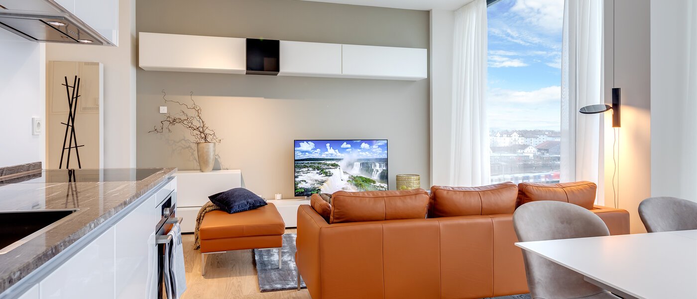 квартира München Nymphenburg 06 гостиная 10338