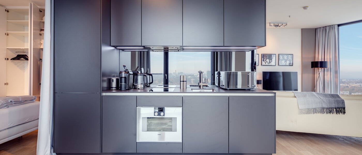 лофт München Nymphenburg 01 кухня 10348