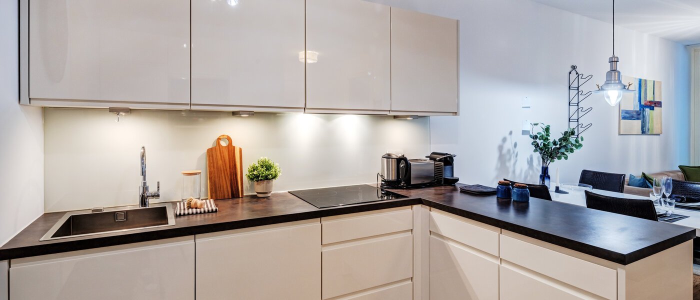 квартира München Maxvorstadt - Westen 01 кухня 10381