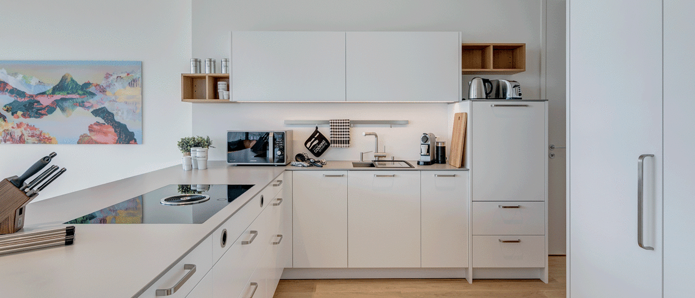 квартира München Nymphenburg 01 кухня 10451