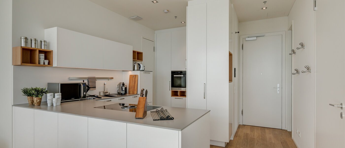 квартира München Nymphenburg 04 кухня 10451